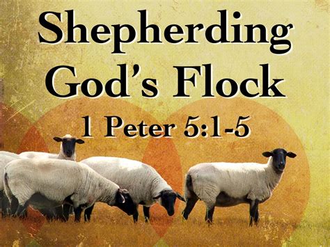 shepherding the flock of god.